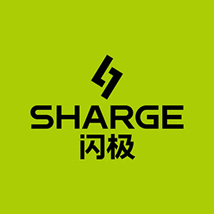 闪极